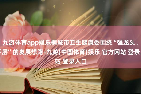 九游体育app娱乐桐城市卫生健康委围绕“强龙头、活下层”的发展想路-九游(中国体育)娱乐 官方网站 登录入口