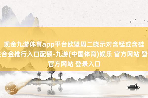 现金九游体育app平台欧盟周二晓示对含锰或含硅的钢铁合金推行入口配额-九游(中国体育)娱乐 官方网站 登录入口