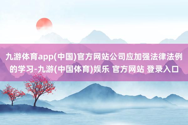 九游体育app(中国)官方网站公司应加强法律法例的学习-九游(中国体育)娱乐 官方网站 登录入口