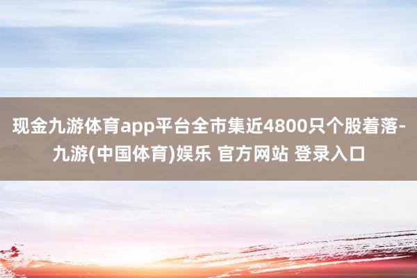现金九游体育app平台全市集近4800只个股着落-九游(中国体育)娱乐 官方网站 登录入口